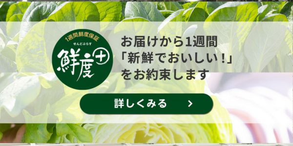 グリーンビーンズ鮮度+